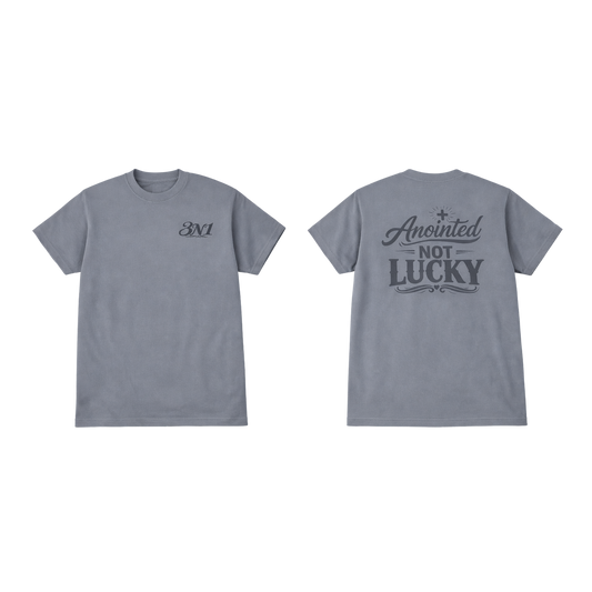 Washed Gray/Blue 3N1 "Anointed, Not Lucky" T-Shirt