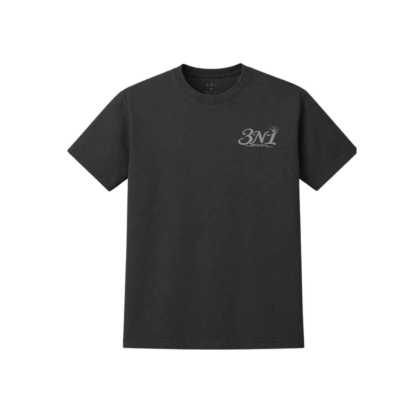 Washed Black "Powered by the Holy Spirit" T-Shirt